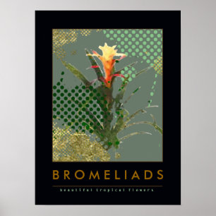 suggestion de décoration d'art bromeliers