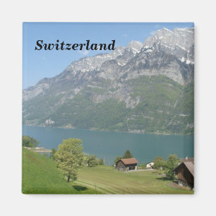 Suisse - Magnet