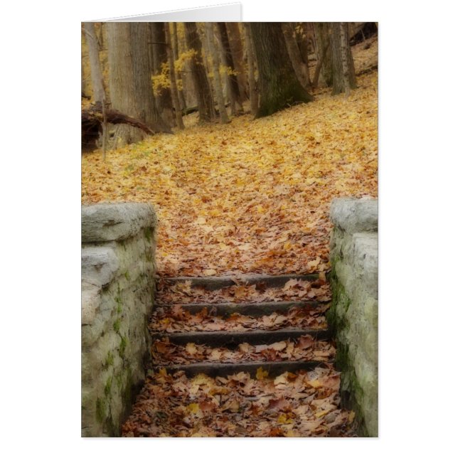 Suivez le chemin (Devant)