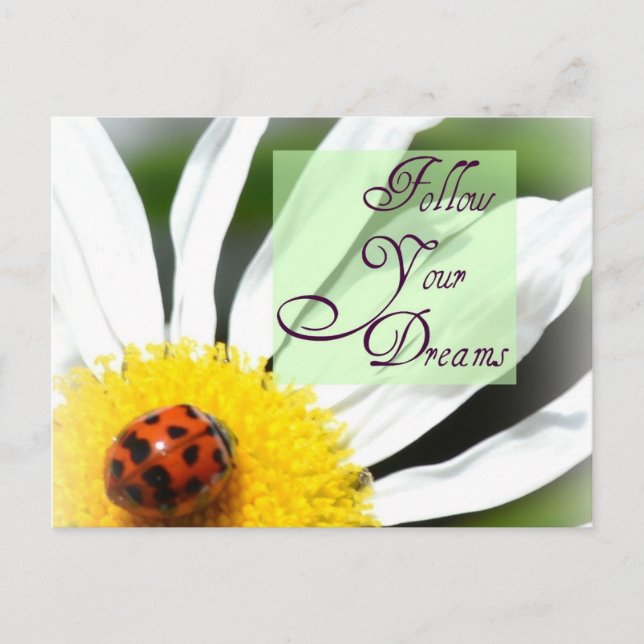Suivez votre carte postale Dreams Ladybug (Devant)
