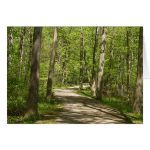 Suivez votre carte rêveuse