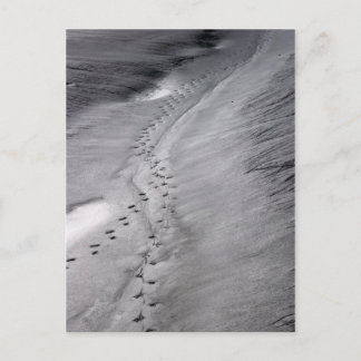 suivre carte postale