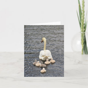 Suivre (cygnets de cygne muet #4) - Carte de note 