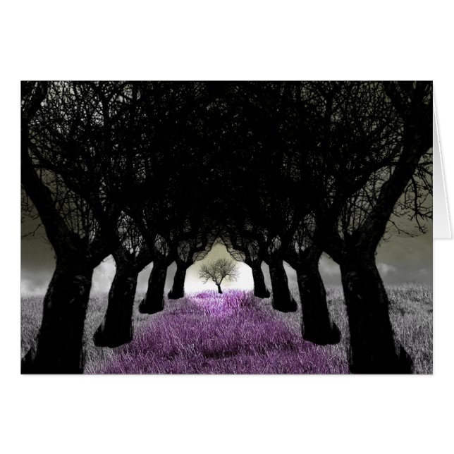 Suivre Le Chemin De L'Herbe Violette (Devant horizontal)