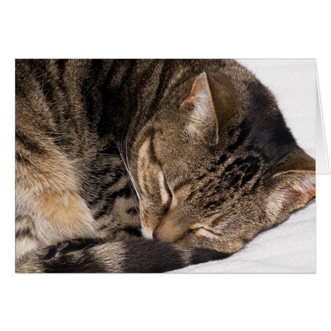 Suki (Devant horizontal)