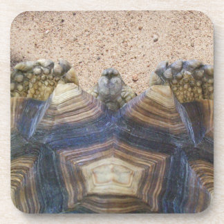 Sulcata Tortoise et Sand Magnet Dessous de verre e