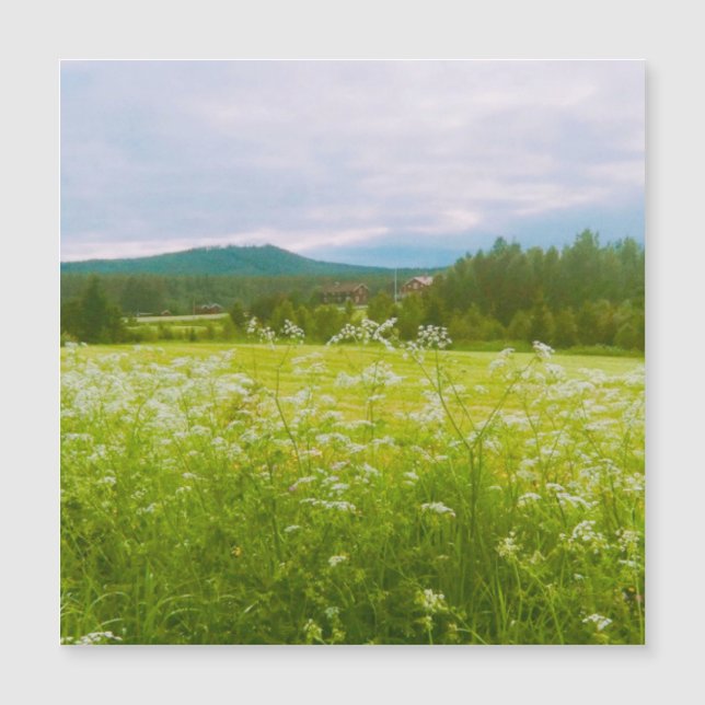 Summer in Hälsingland - Helsingia  (Devant)