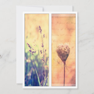 Summer Nature Art Signet