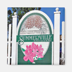 Summerville, Charleston, Caroline du Sud, Magnet
