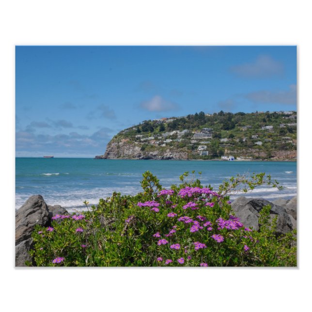 Sumner Beach, Christchurch - Impression photo (Devant)