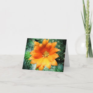 Sun a embrassé des notes de Merci de fleur de