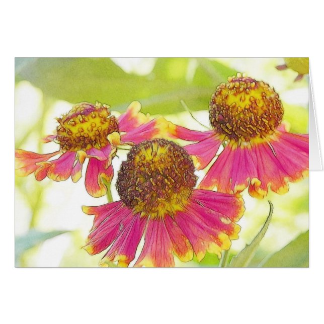 Sun a trempé Heleniums (Devant horizontal)