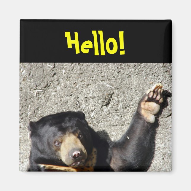 Sun Bear Hello Magnet (Devant)
