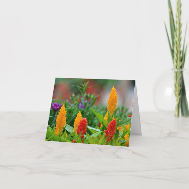 Sun colore le carte pour notes (Devant)