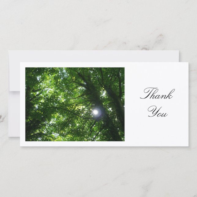 Sun dans les arbres - Merci (Devant)