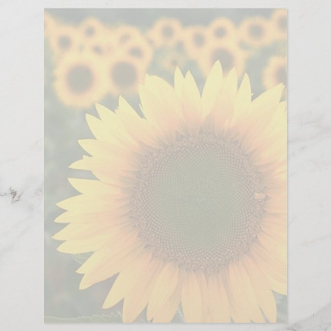 Sunflower 2 (Devant)