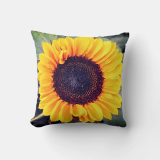 Sunflower Beauty Coussin