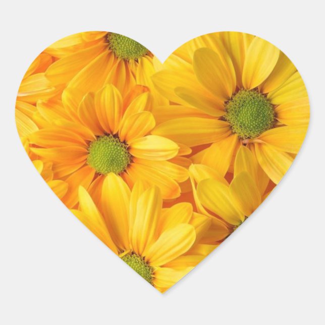 Sunflower Dreams Stickers that Smile Back (Devant)