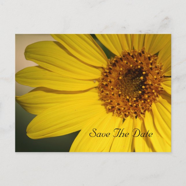 Sunflower Enregistrer la date Carte postale (Devant)