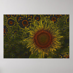 Sunflower Field 36 x 24 Poster