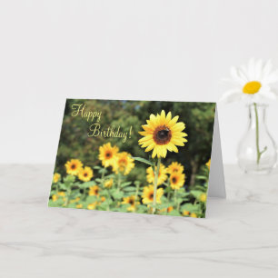 Sunflower Field Bonne carte de voeux d'anniversair