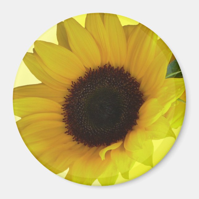 Sunflower Fridge Magnet Cadeau Fleur gaie (Devant)