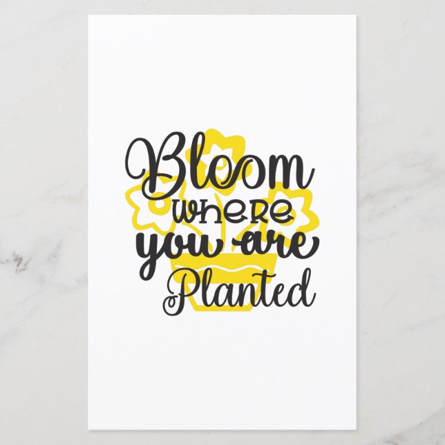 Sunflower Lover | Où Vous Êtes Plantés (Devant)