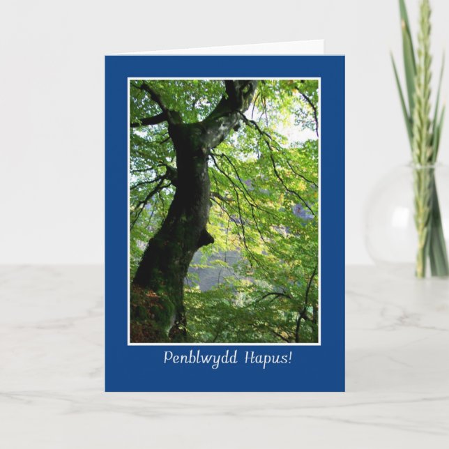 Sunlight Through Feuilles : Carte d'anniversaire : (Devant)