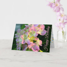 Sunlit rose Hydrangea Bonne carte d'anniversaire