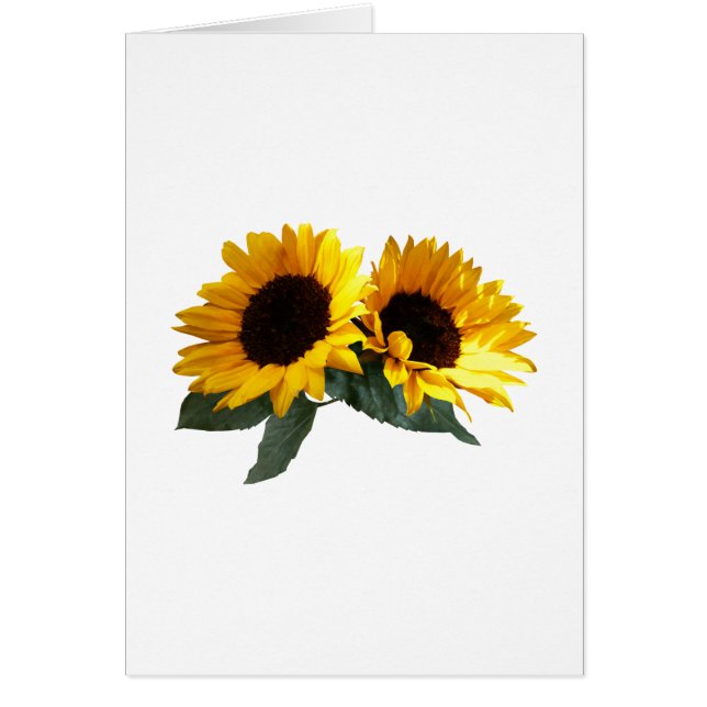 Sunny (Devant)