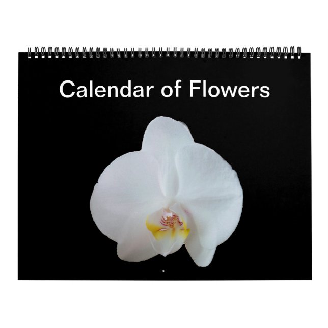 Sunny Daze Calendrier photo des fleurs (Protection)