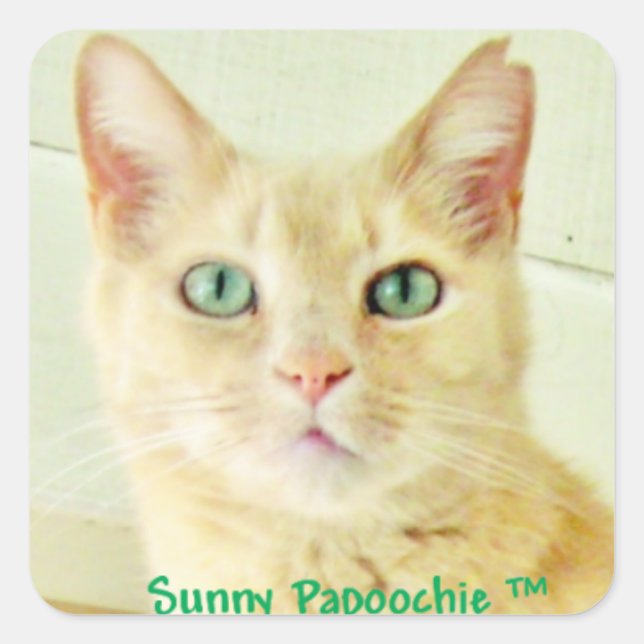 SUNNY PAPOOCHIE STICKERS (Devant)