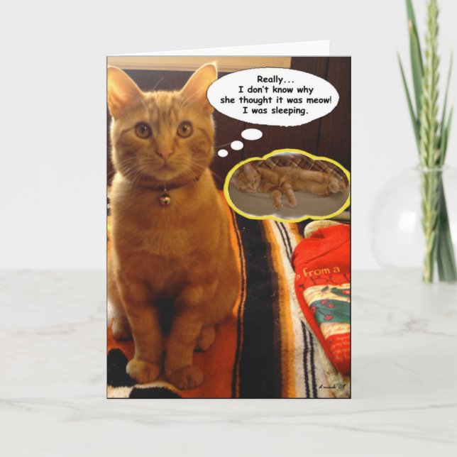 SunnyBoy la carte de pensée et de sommeil du chat (Devant)