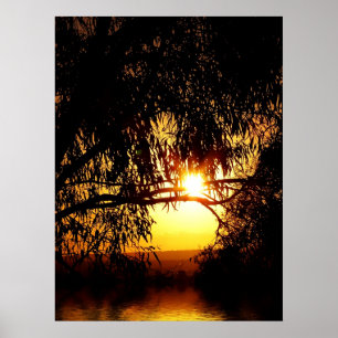 Sunrealism : Ferntree Gully Poster