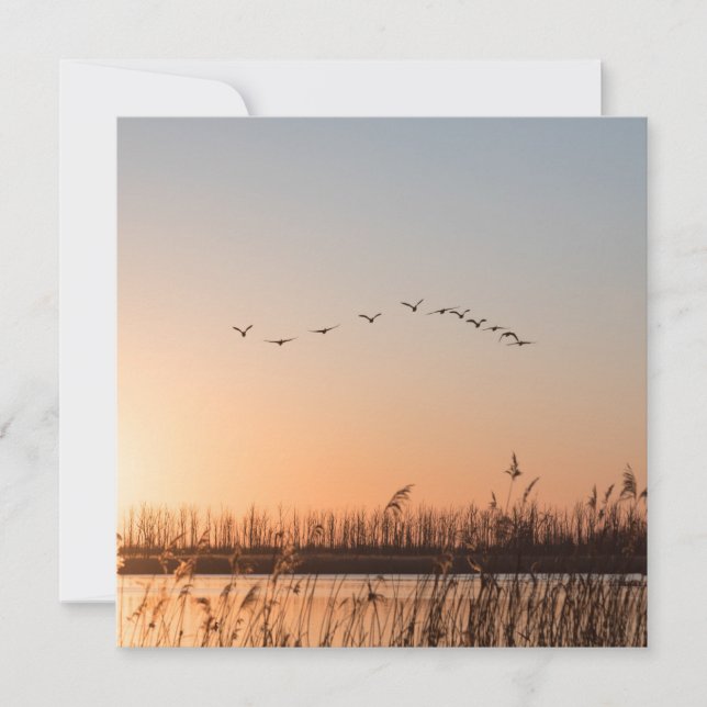 Sunrise Birds Carte photo de la nature (Devant)