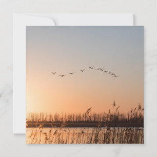 Sunrise Birds Carte photo de la nature