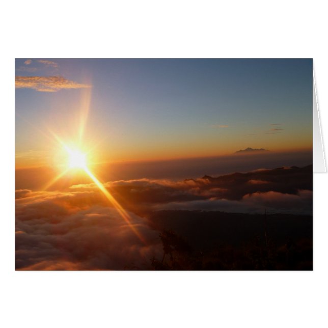 Sunrise Joy (Devant Horizontal)