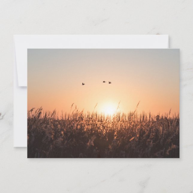 Sunrise Reed Nature Carte photo (Devant)