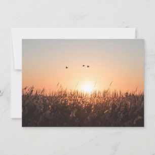Sunrise Reed Nature Carte photo