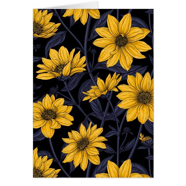 Sunroot, tournesol sauvage en jaune et bleu (Devant)