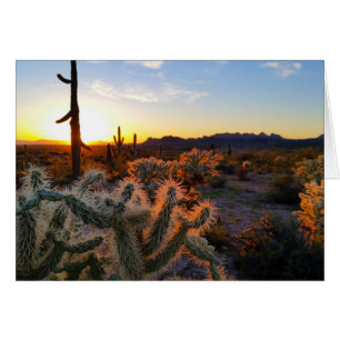 Sunset Arizona Sonoran Désert avec Saguaro Cactus