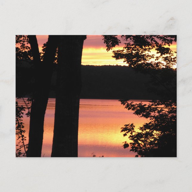 Sunset Bridgewater Nouvelle-Écosse Carte postale (Devant)