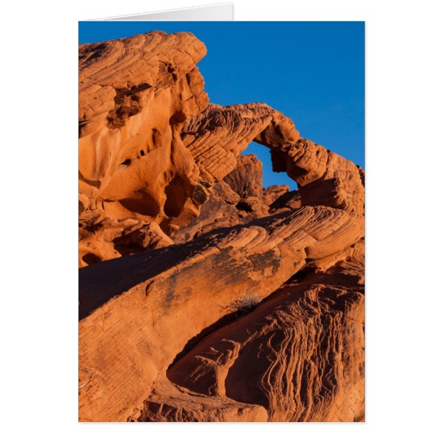 Sunset Inferno (Devant)