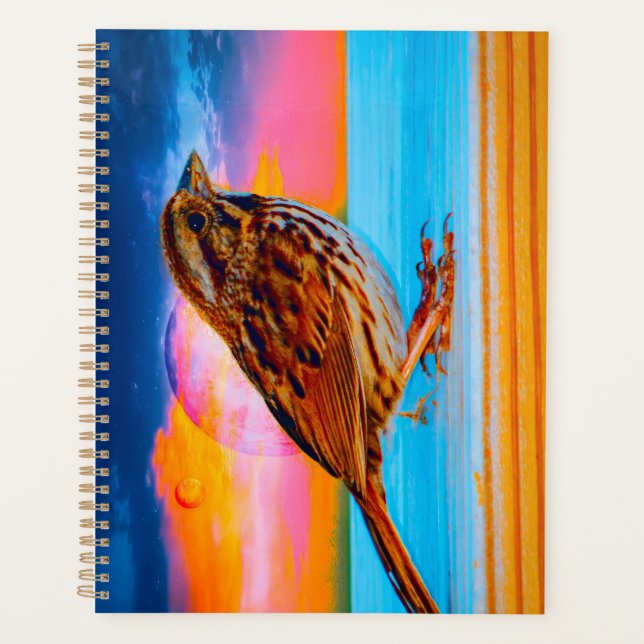 Sunset Melody (Devant)