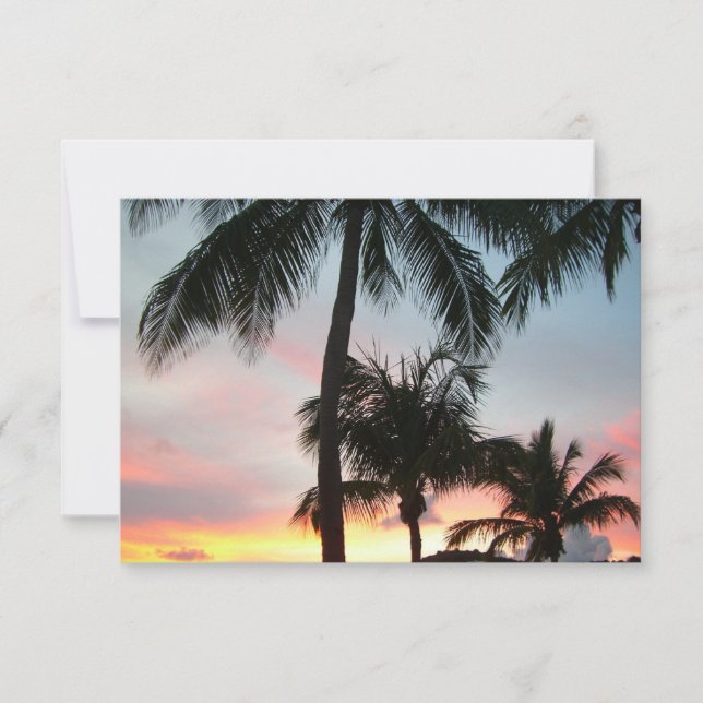 Sunset Palms Tropical Paysage Photographie (Devant)