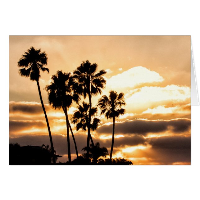 Sunset Silhouette In San Diego (Devant horizontal)