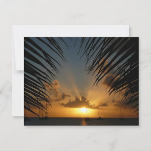Sunset Through Palm Fronds