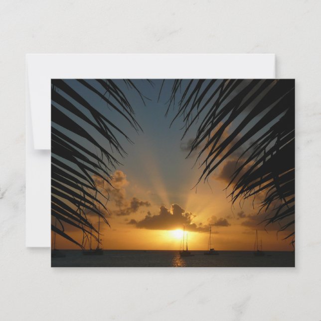 Sunset Through Palm Fronds (Devant)