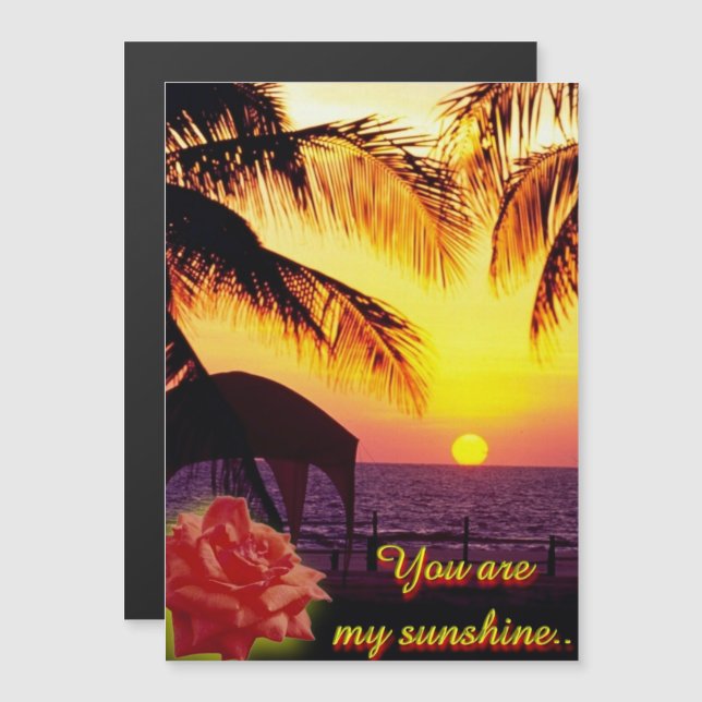 Sunshine Love (Devant / Derrière)