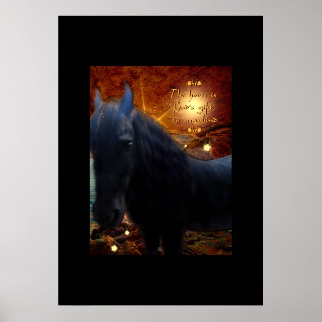 Sunshine - Poster (Devant)